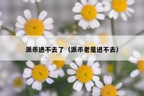派币进不去了（派币老是进不去） 第1张