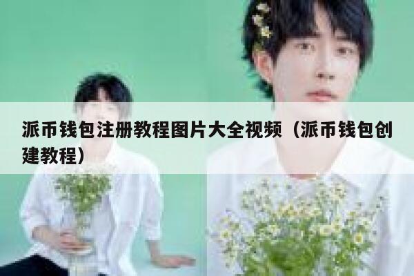 派币钱包注册教程图片大全视频(派币钱包创建教程) 第1张 派币钱包注册教程图片大全视频(派币钱包创建教程) 第1张