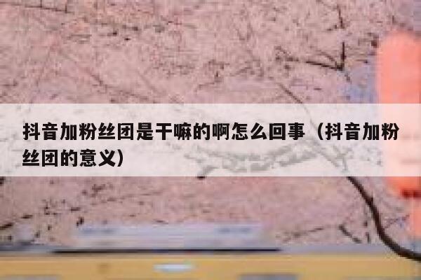 抖音加粉丝团是干嘛的啊怎么回事（抖音加粉丝团的意义） 第1张