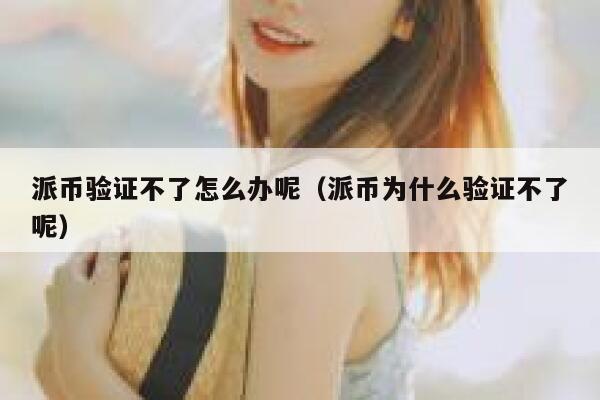 派币验证不了怎么办呢（派币为什么验证不了呢） 第1张