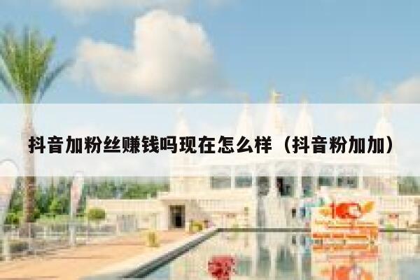 抖音加粉丝赚钱吗现在怎么样（抖音粉加加） 第1张