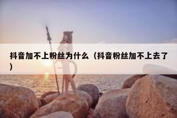 抖音加不上粉丝为什么（抖音粉丝加不上去了） 第1张