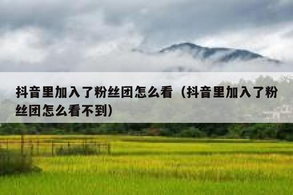 抖音里加入了粉丝团怎么看（抖音里加入了粉丝团怎么看不到） 第1张