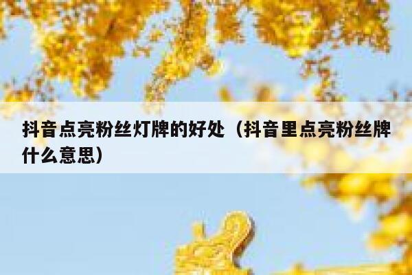 抖音点亮粉丝灯牌的好处（抖音里点亮粉丝牌什么意思） 第1张
