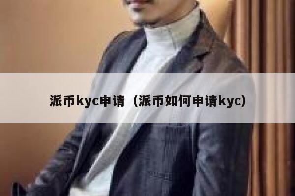 派币kyc申请（派币如何申请kyc） 第1张