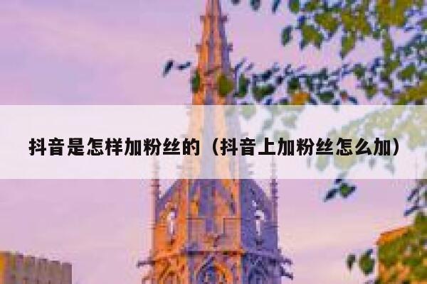 抖音是怎样加粉丝的（抖音上加粉丝怎么加） 第1张