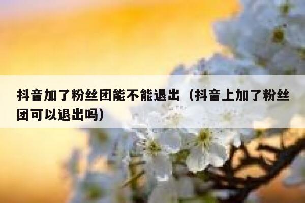 抖音加了粉丝团能不能退出（抖音上加了粉丝团可以退出吗） 第1张