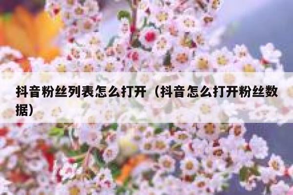 抖音粉丝列表怎么打开（抖音怎么打开粉丝数据） 第1张