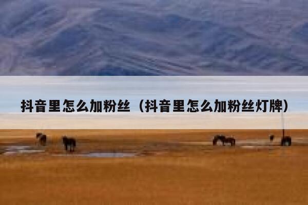 抖音里怎么加粉丝（抖音里怎么加粉丝灯牌） 第1张