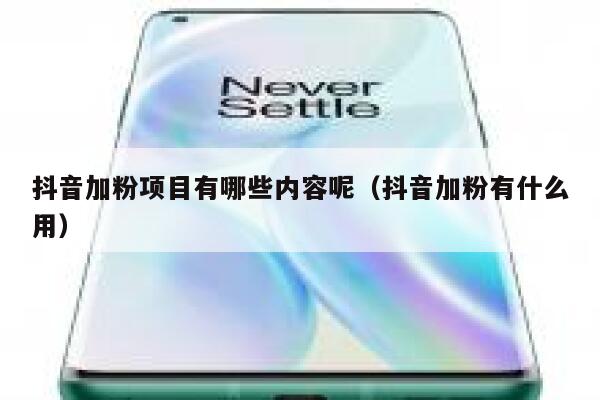 抖音加粉项目有哪些内容呢（抖音加粉有什么用） 第1张