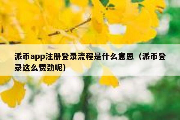 派币app注册登录流程是什么意思(派币登录这么费劲呢) 第1张 派币app注册登录流程是什么意思(派币登录这么费劲呢) 第1张