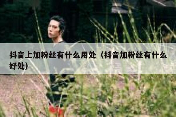抖音上加粉丝有什么用处(抖音加粉丝有什么好处) 第1张 抖音上加粉丝有什么用处(抖音加粉丝有什么好处) 第1张
