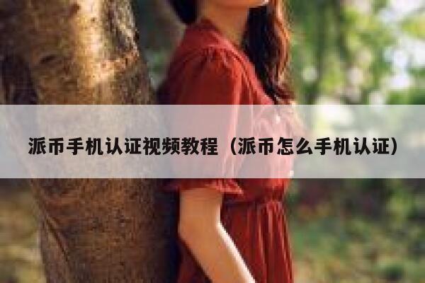 派币手机认证视频教程（派币怎么手机认证） 第1张