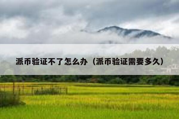 派币验证不了怎么办（派币验证需要多久） 第1张