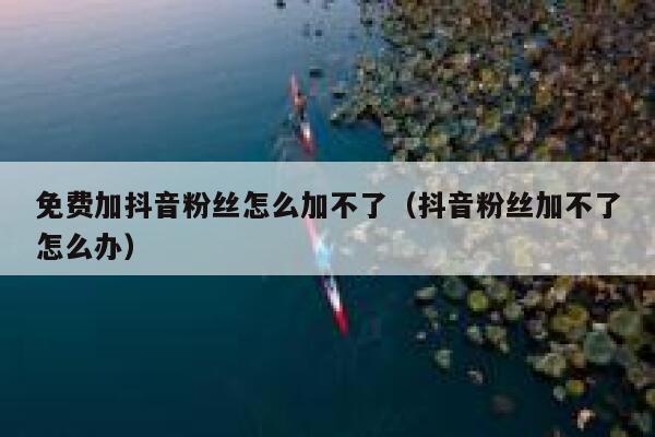 免费加抖音粉丝怎么加不了(抖音粉丝加不了怎么办) 第1张 免费加抖音粉丝怎么加不了(抖音粉丝加不了怎么办) 第1张