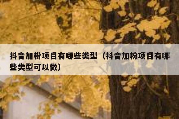 抖音加粉项目有哪些类型（抖音加粉项目有哪些类型可以做） 第1张