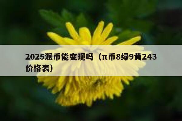 2025派币能变现吗（π币8绿9黄243价格表） 第1张
