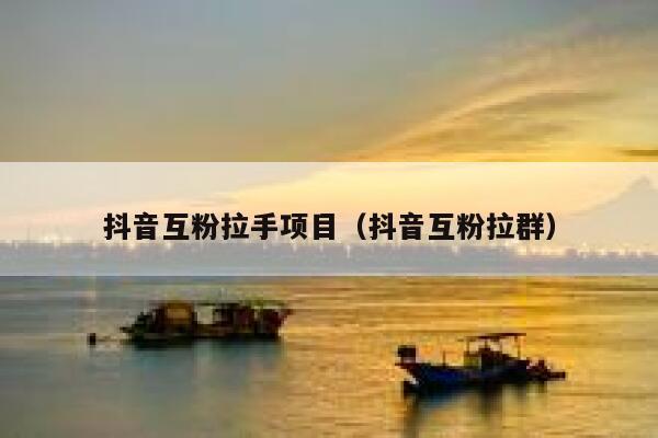 抖音互粉拉手项目（抖音互粉拉群） 第1张