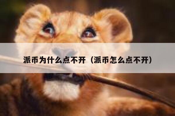 派币为什么点不开（派币怎么点不开） 第1张