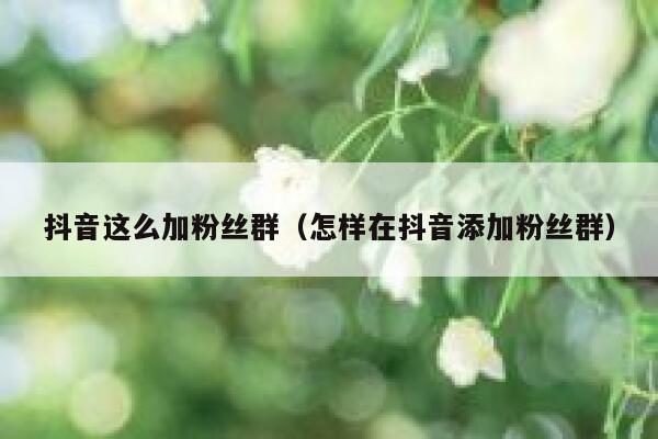 抖音这么加粉丝群（怎样在抖音添加粉丝群） 第1张