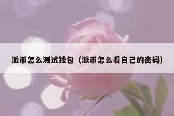 派币怎么测试钱包(派币怎么看自己的密码) 第1张 派币怎么测试钱包(派币怎么看自己的密码) 第1张