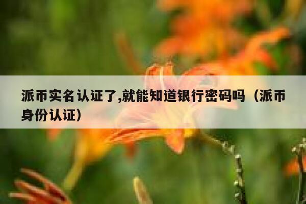 派币实名认证了,就能知道银行密码吗(派币身份认证) 第1张 派币实名认证了,就能知道银行密码吗(派币身份认证) 第1张