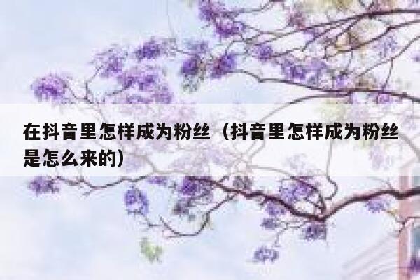 在抖音里怎样成为粉丝(抖音里怎样成为粉丝是怎么来的) 第1张 在抖音里怎样成为粉丝(抖音里怎样成为粉丝是怎么来的) 第1张