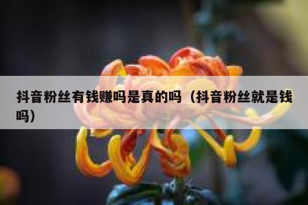 抖音粉丝有钱赚吗是真的吗（抖音粉丝就是钱吗） 第1张