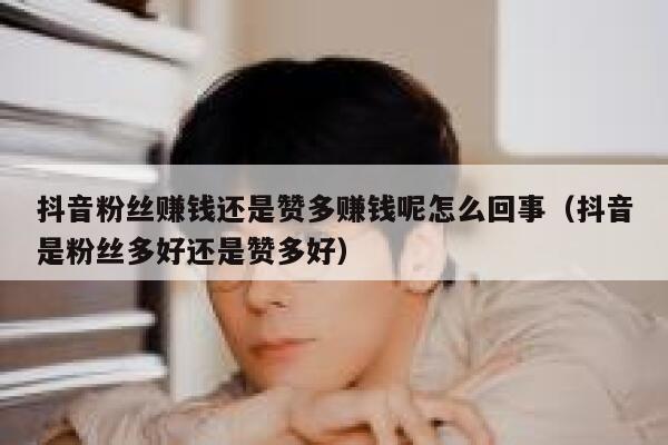 抖音粉丝赚钱还是赞多赚钱呢怎么回事(抖音是粉丝多好还是赞多好) 第1张 抖音粉丝赚钱还是赞多赚钱呢怎么回事(抖音是粉丝多好还是赞多好) 第1张
