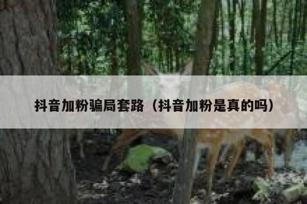 抖音加粉骗局套路(抖音加粉是真的吗) 第1张 抖音加粉骗局套路(抖音加粉是真的吗) 第1张