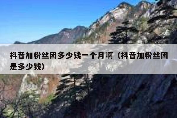 抖音加粉丝团多少钱一个月啊（抖音加粉丝团是多少钱） 第1张