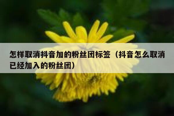 怎样取消抖音加的粉丝团标签（抖音怎么取消已经加入的粉丝团） 第1张