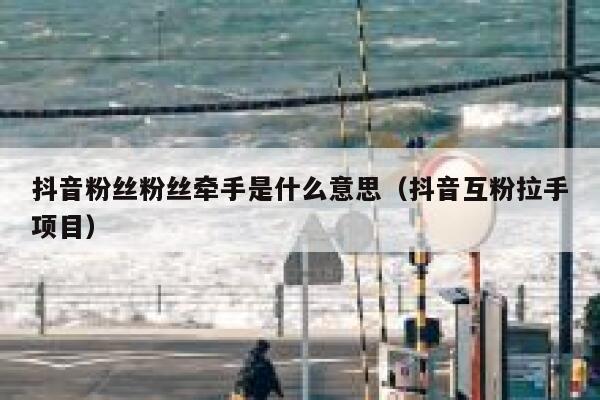抖音粉丝粉丝牵手是什么意思（抖音互粉拉手项目） 第1张