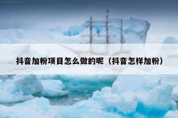 抖音加粉项目怎么做的呢（抖音怎样加粉） 第1张