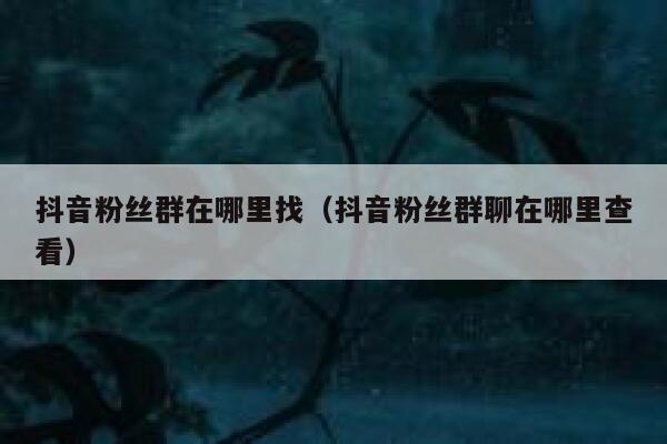 抖音粉丝群在哪里找（抖音粉丝群聊在哪里查看） 第1张