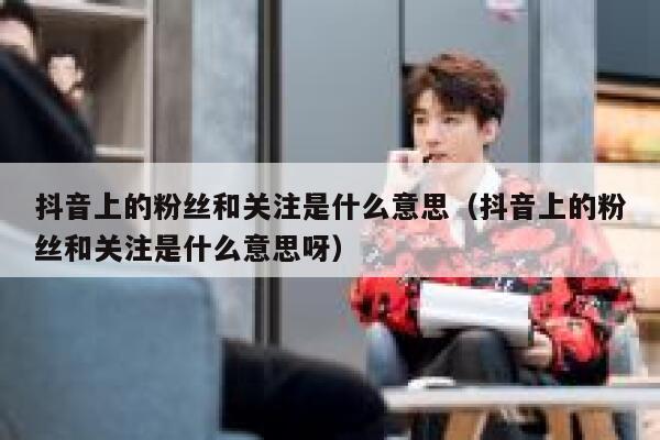 抖音上的粉丝和关注是什么意思（抖音上的粉丝和关注是什么意思呀） 第1张