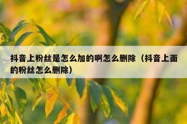 抖音上粉丝是怎么加的啊怎么删除（抖音上面的粉丝怎么删除） 第1张