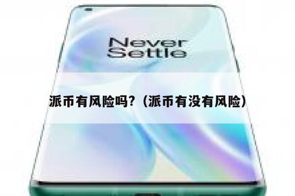 派币有风险吗?(派币有没有风险) 第1张 派币有风险吗?(派币有没有风险) 第1张