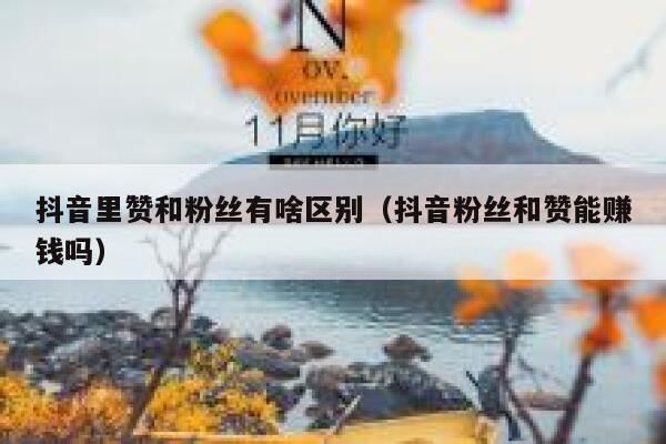 抖音里赞和粉丝有啥区别(抖音粉丝和赞能赚钱吗) 第1张 抖音里赞和粉丝有啥区别(抖音粉丝和赞能赚钱吗) 第1张