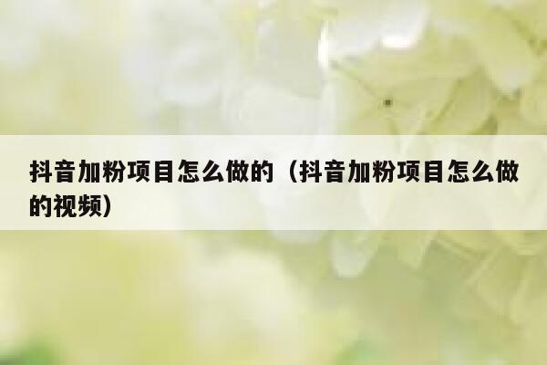 抖音加粉项目怎么做的（抖音加粉项目怎么做的视频） 第1张