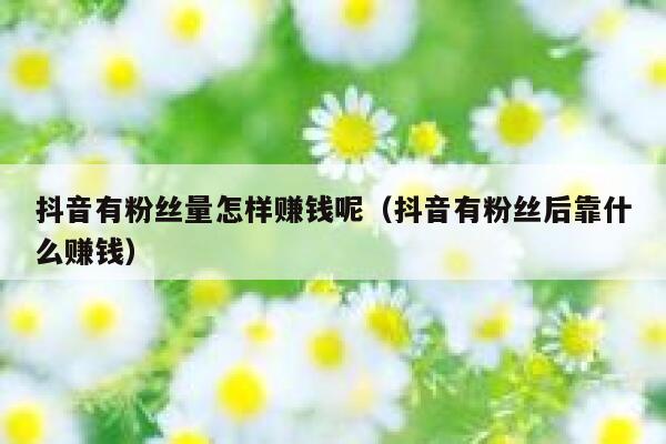 抖音有粉丝量怎样赚钱呢（抖音有粉丝后靠什么赚钱） 第1张