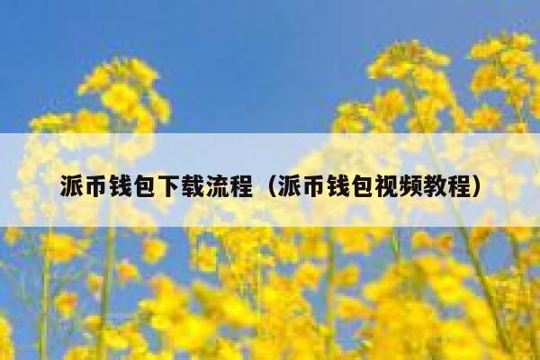 派币钱包下载流程（派币钱包视频教程） 第1张