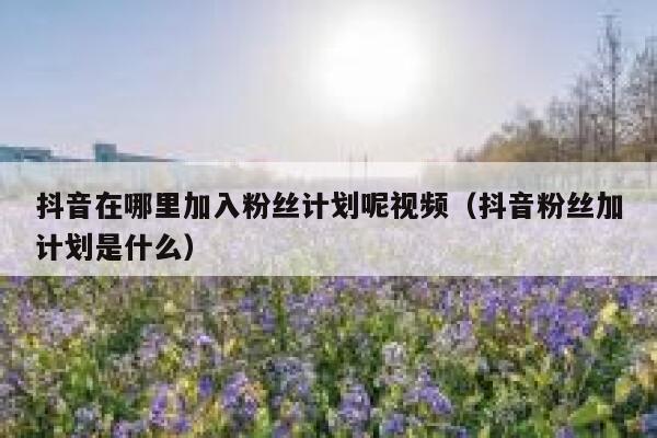 抖音在哪里加入粉丝计划呢视频(抖音粉丝加计划是什么) 第1张 抖音在哪里加入粉丝计划呢视频(抖音粉丝加计划是什么) 第1张