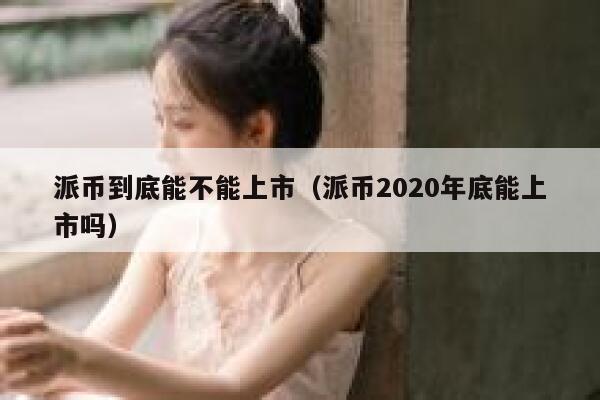 派币到底能不能上市（派币2020年底能上市吗） 第1张