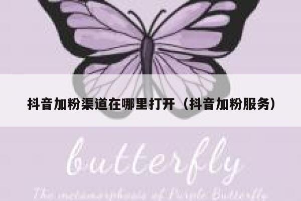 抖音加粉渠道在哪里打开（抖音加粉服务） 第1张