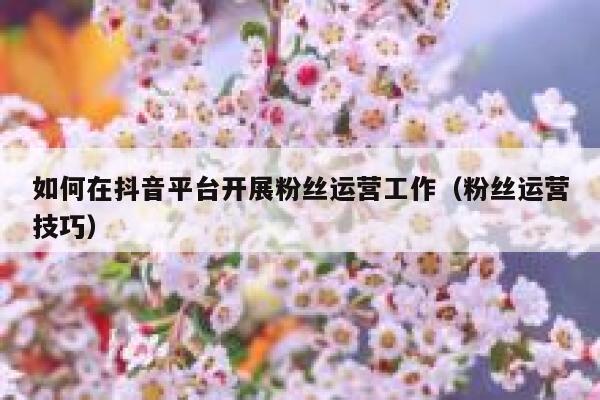 如何在抖音平台开展粉丝运营工作（粉丝运营技巧） 第1张