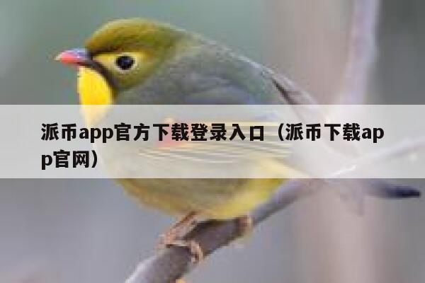 派币app官方下载登录入口（派币下载app官网） 第1张
