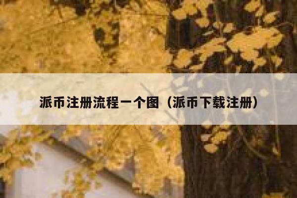 派币注册流程一个图（派币下载注册） 第1张