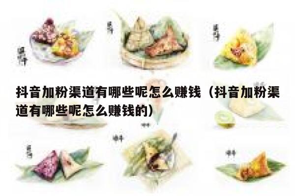 抖音加粉渠道有哪些呢怎么赚钱（抖音加粉渠道有哪些呢怎么赚钱的） 第1张