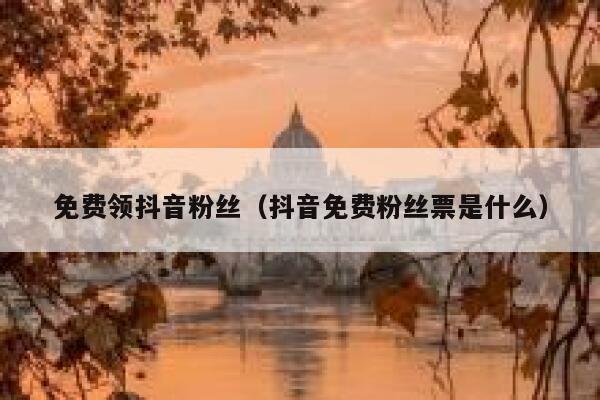 免费领抖音粉丝(抖音免费粉丝票是什么) 第1张 免费领抖音粉丝(抖音免费粉丝票是什么) 第1张